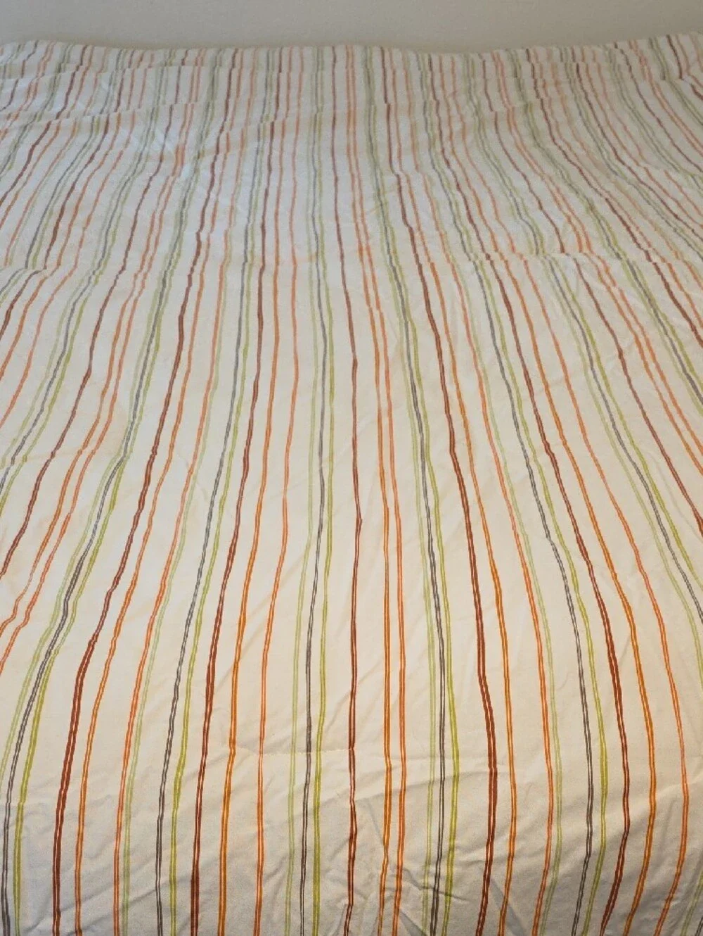 Botanical Modern Botanical Stems Poppy Revisable Stripes Twin Comforter
